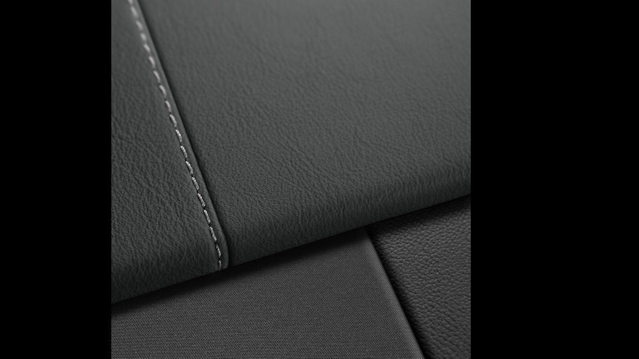 Vehicle interior color