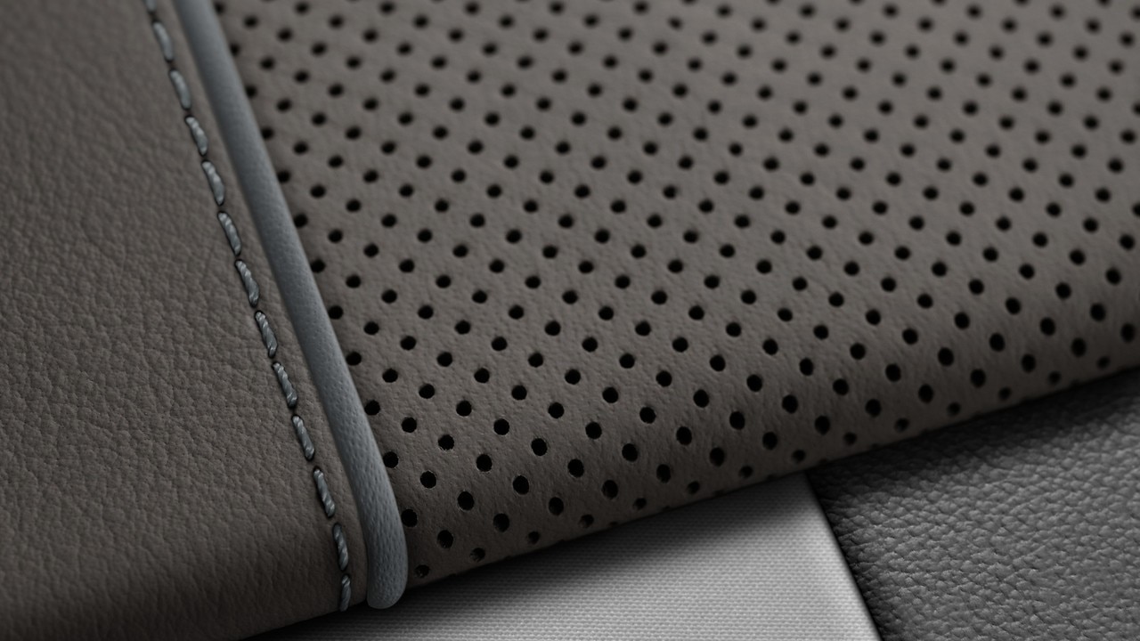 Vehicle interior color
