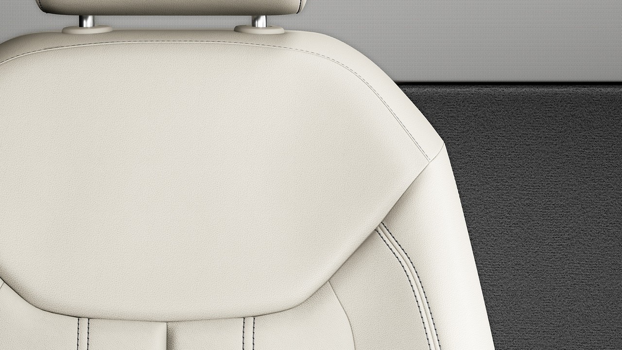 Vehicle interior color