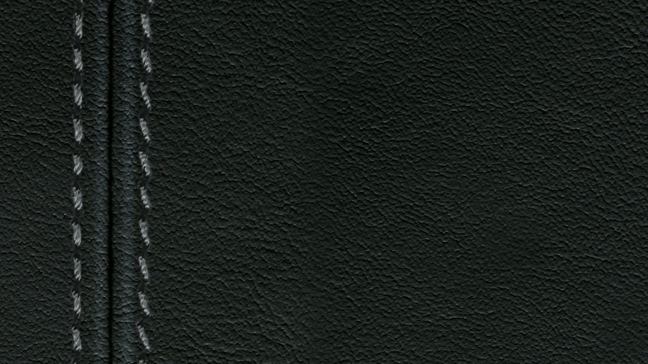 Vehicle interior color