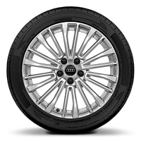 Cast alloy wheels, multi-spoke style, 8J x 18 with 225/55 R18 tires