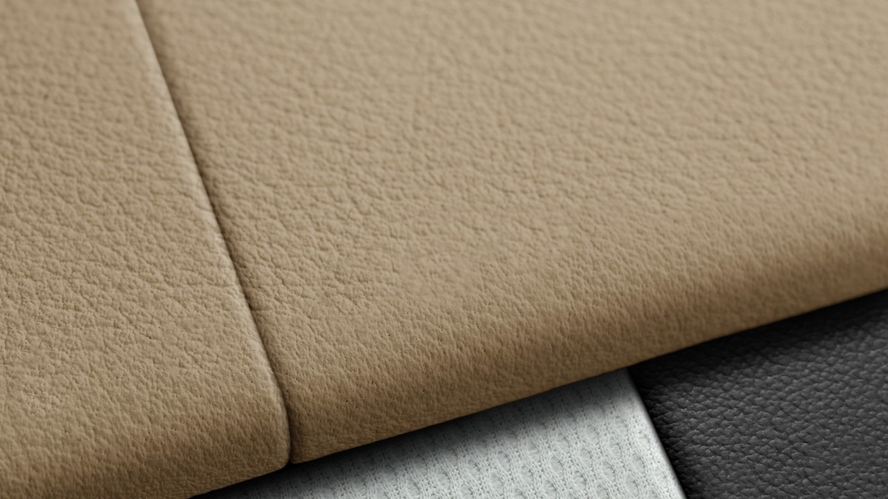 Vehicle interior color