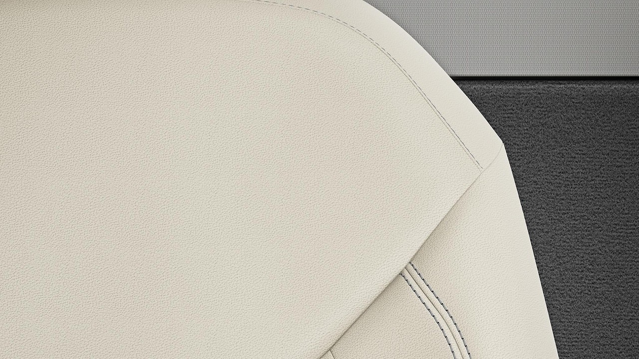 Vehicle interior color