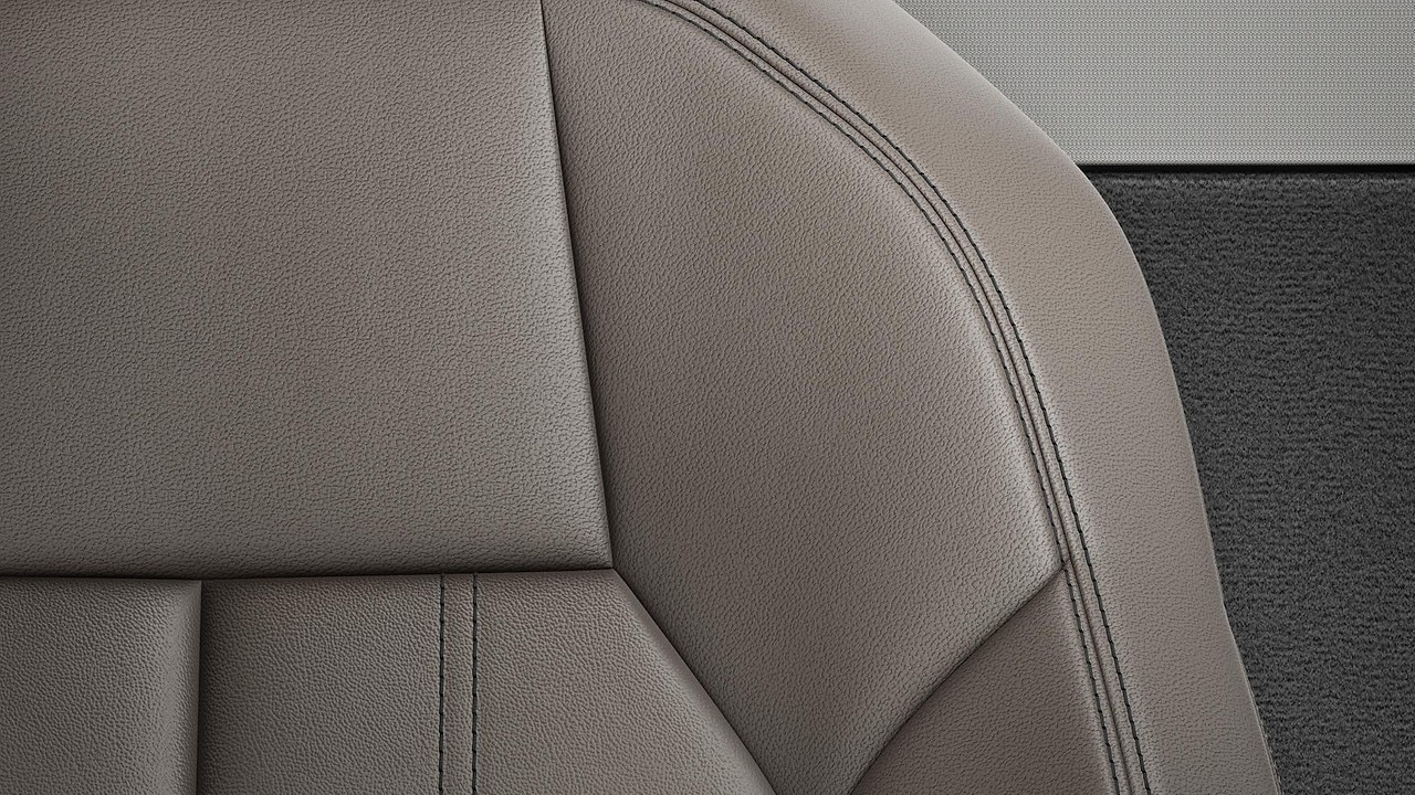 Vehicle interior color