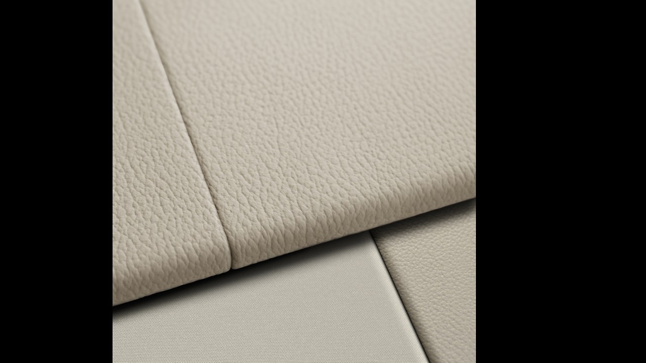 Vehicle interior color