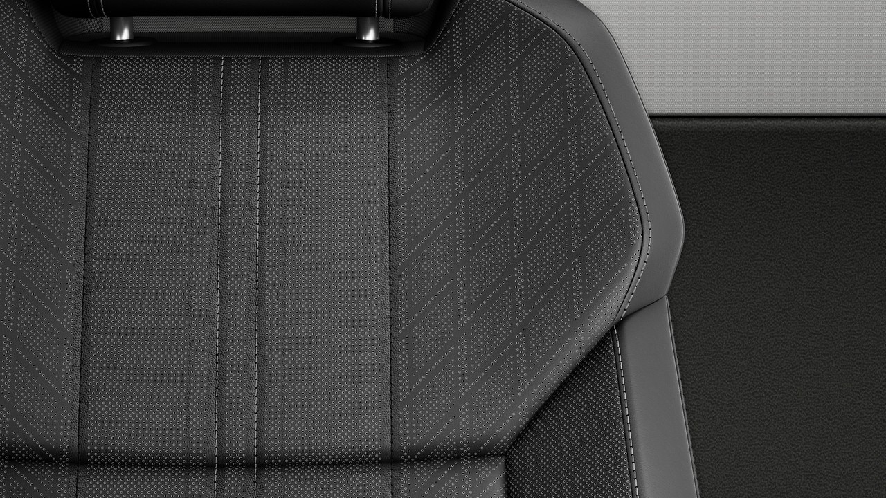 Vehicle interior color