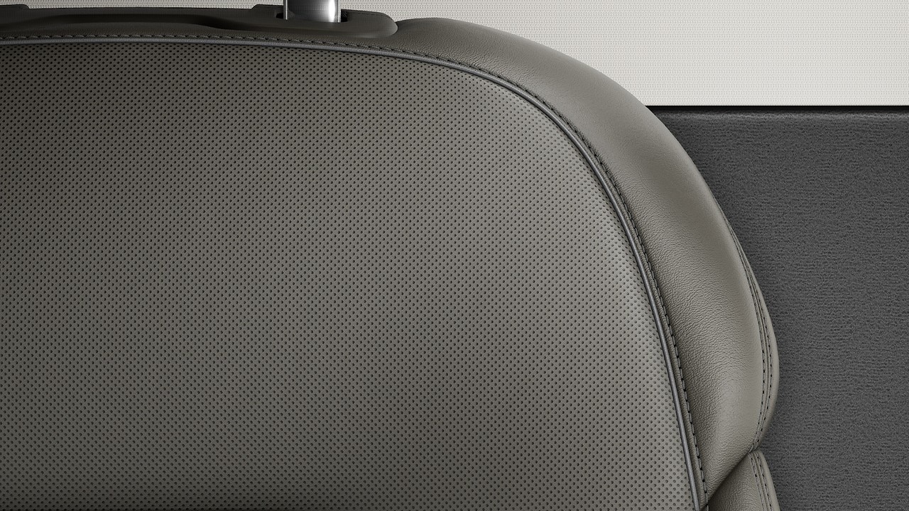 Vehicle interior color