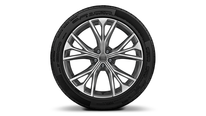 21" 5-segment-spoke-W design, contrasting gray/partially polished wheels