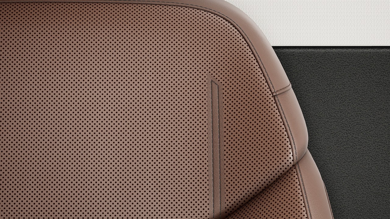 Vehicle interior color