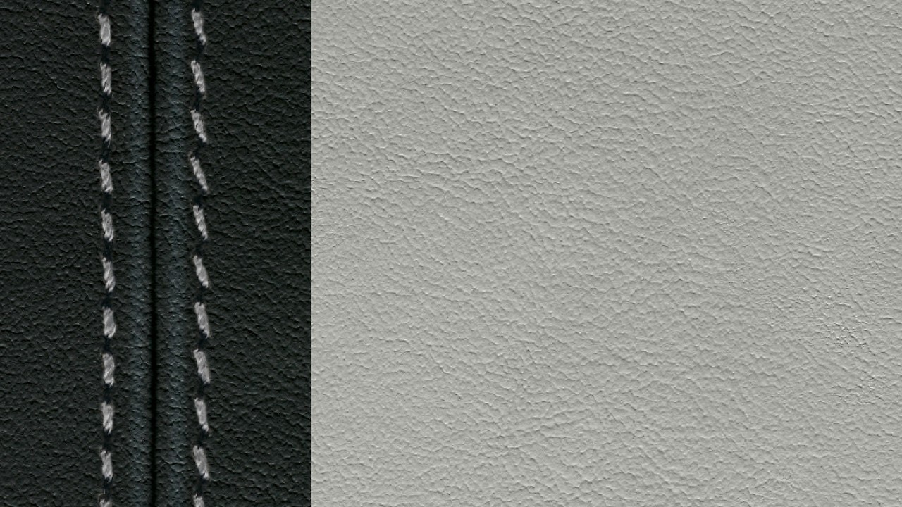 Vehicle interior color