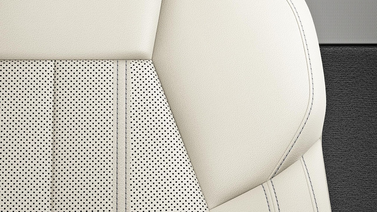 Vehicle interior color