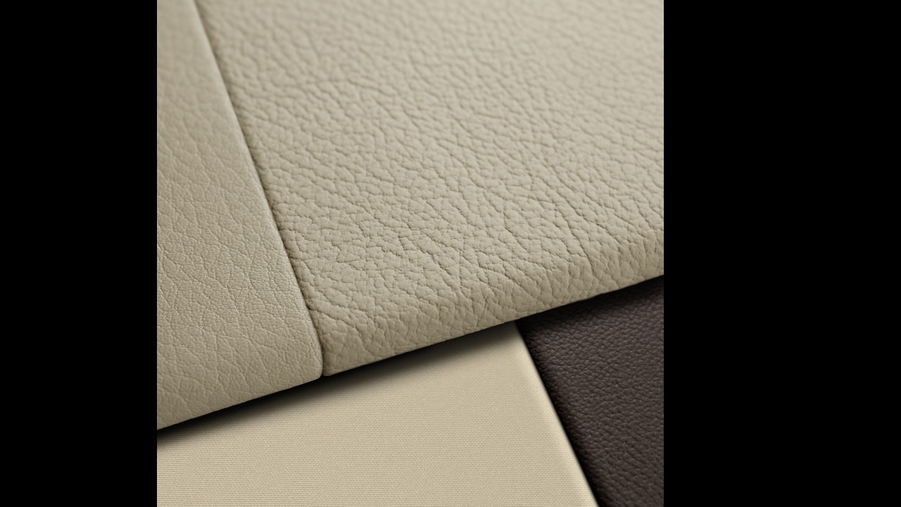 Vehicle interior color