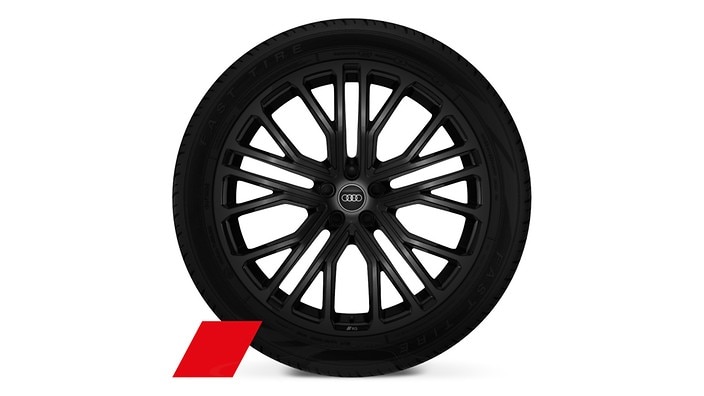 22" 10-Y-spoke design wheels
