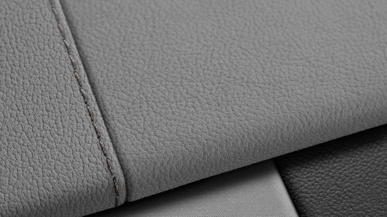 Vehicle interior color