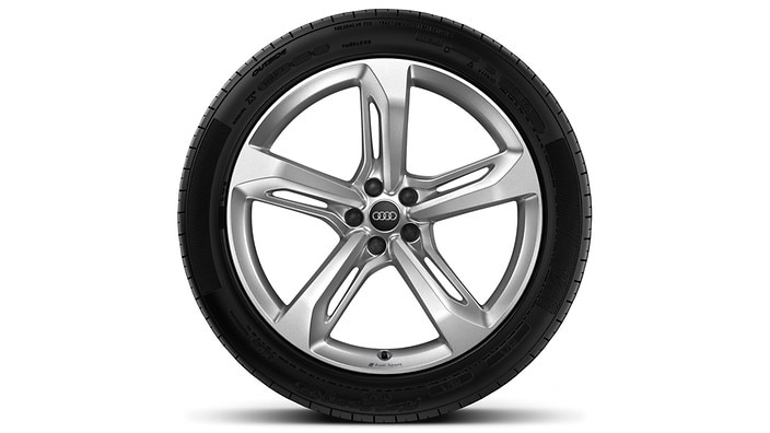 21" 5-spoke-blade design wheels
