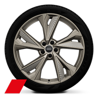 Räder Audi Sport, 5-V-Speichen-Struktur, neodymgold matt 8,5 J x 21, Reifen 255/35 R 21