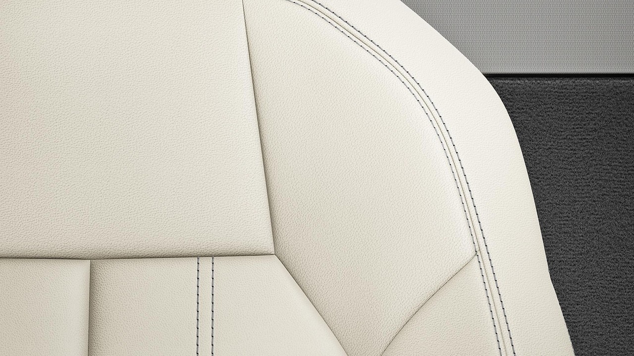 Vehicle interior color