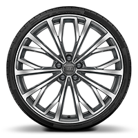 Rodas de alum&iacute;nio forjado em design de 10 raios em Y, Cinza Contraste, parc. polidas, 8,5J x 21 pneus 255/35 R21