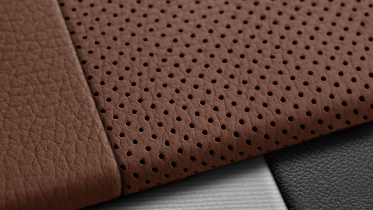 Vehicle interior color