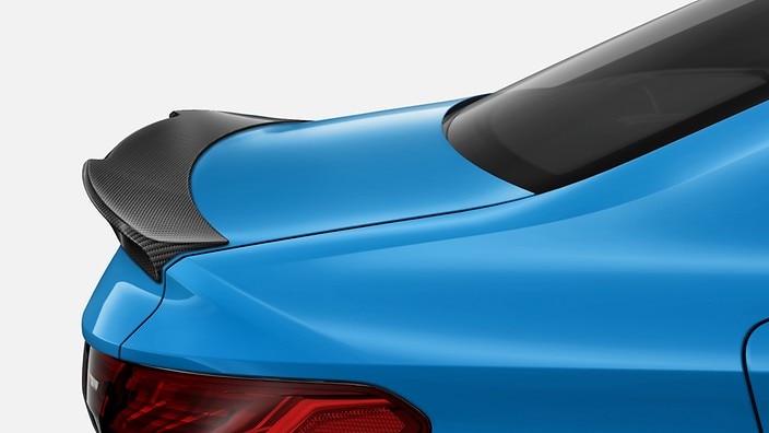 Carbon spoiler