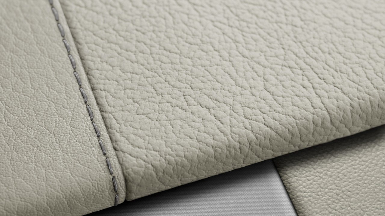 Vehicle interior color
