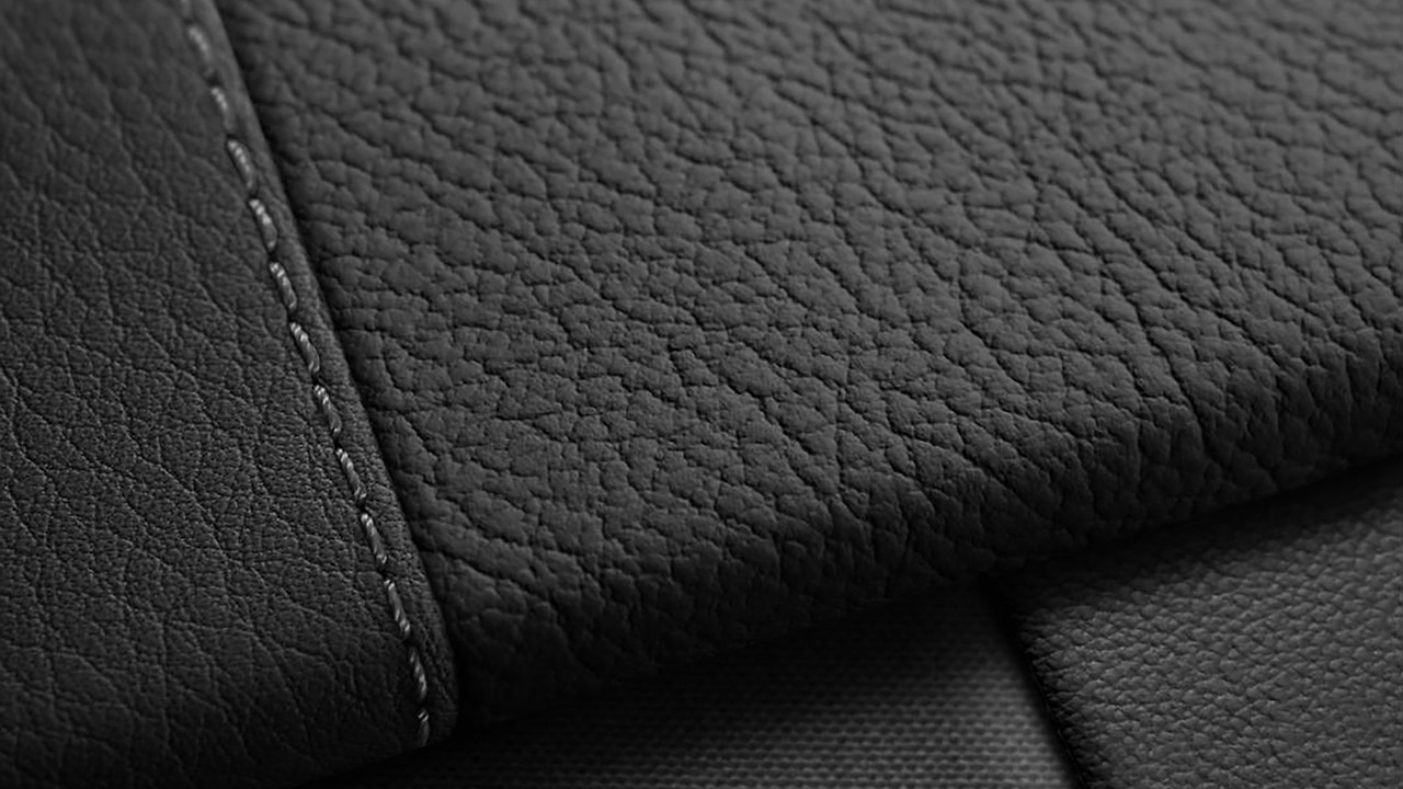 Vehicle interior color