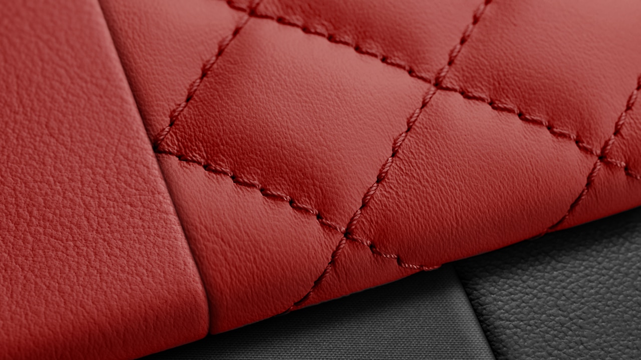 Vehicle interior color