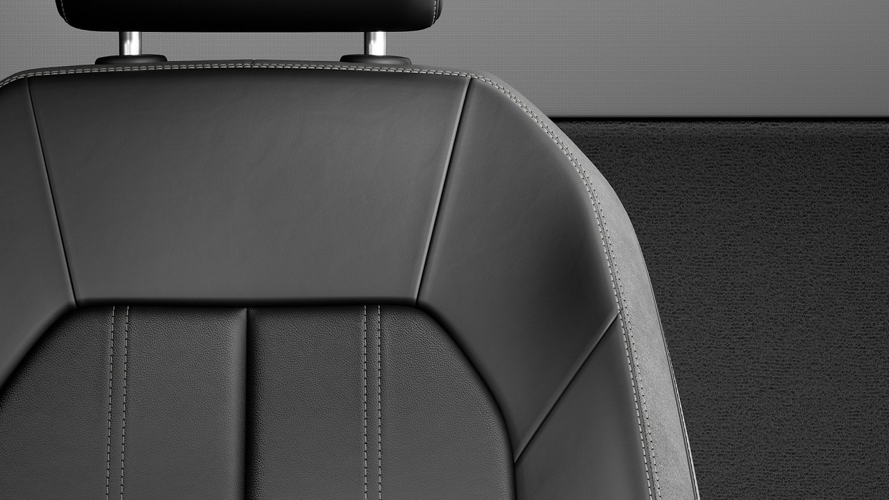 Vehicle interior color