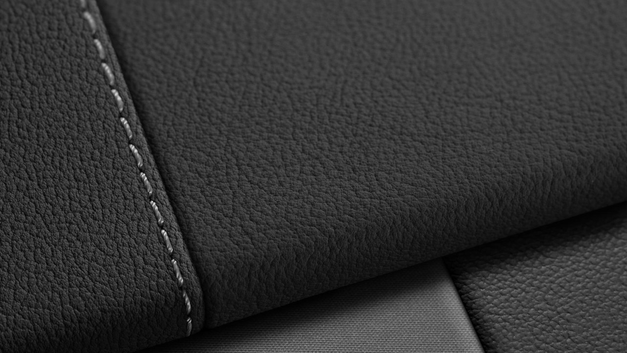 Vehicle interior color