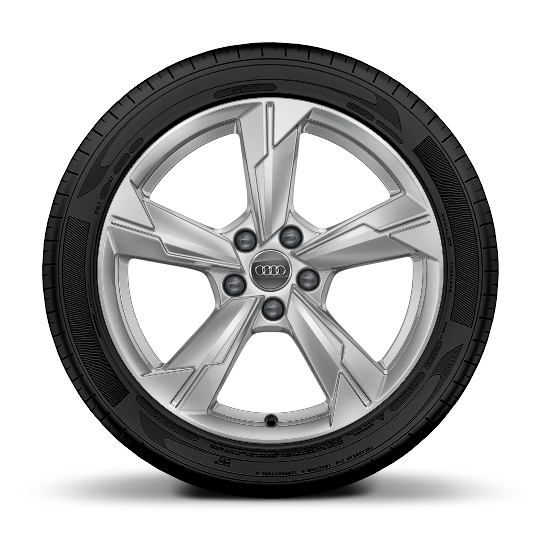 Jantes de liga leve 18" com 5  bra&ccedil;os e pneus 225/55 R18