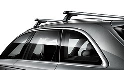 Carrier unit , for vehicles with roof rails