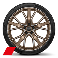 Obręcze kół ze stopu metali lekkich Audi Sport, 9.0Jx20&quot;,  5-ramienne, stylistyka V, matowy brąz, polerowane, z oponami 255/30 R20. 3-letnie ubezpieczenie opon w cenie.