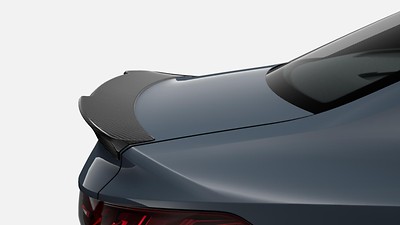 Carbon spoiler on tailgate