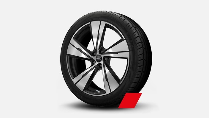 21" 5-arm-split design wheels, bicolor finish