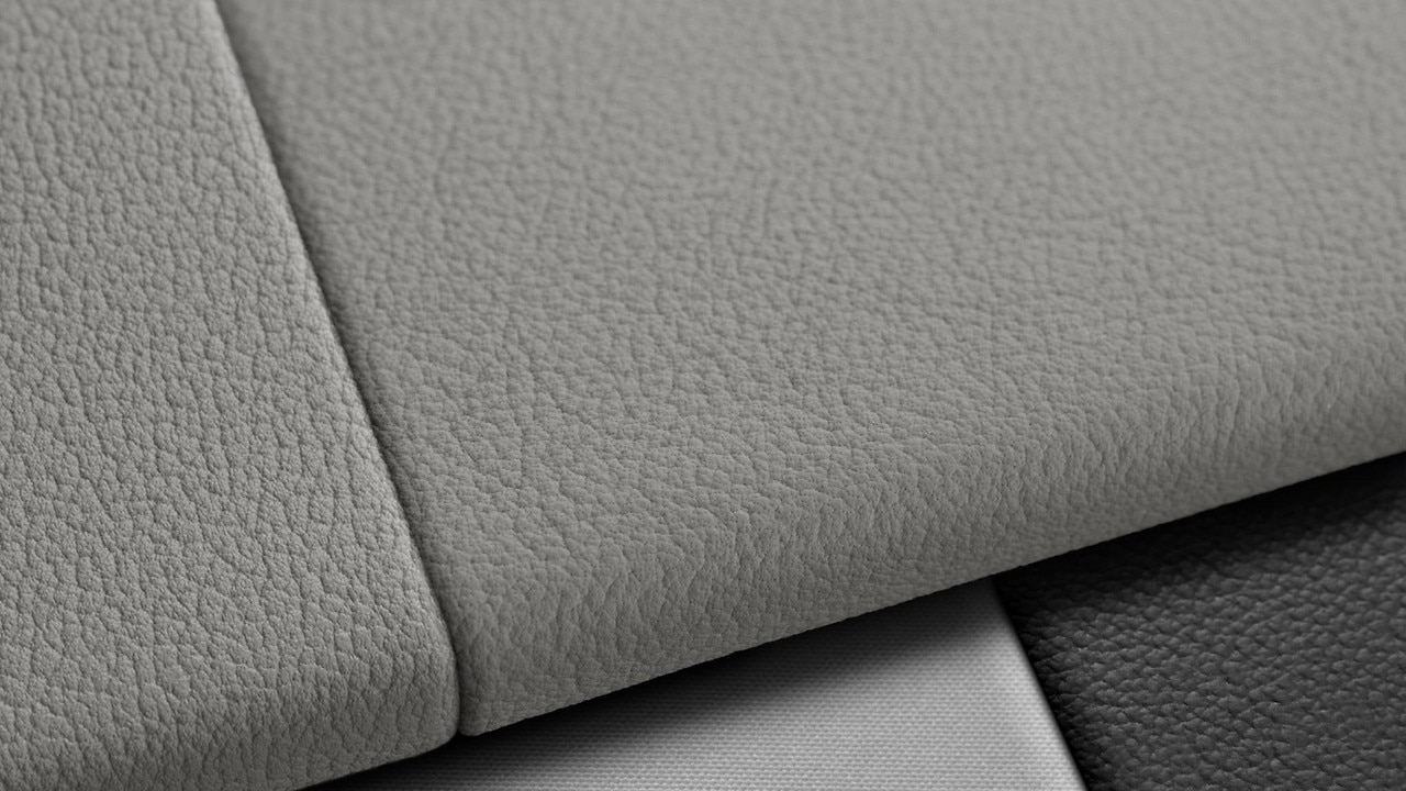 Vehicle interior color