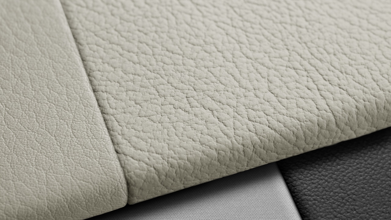 Vehicle interior color