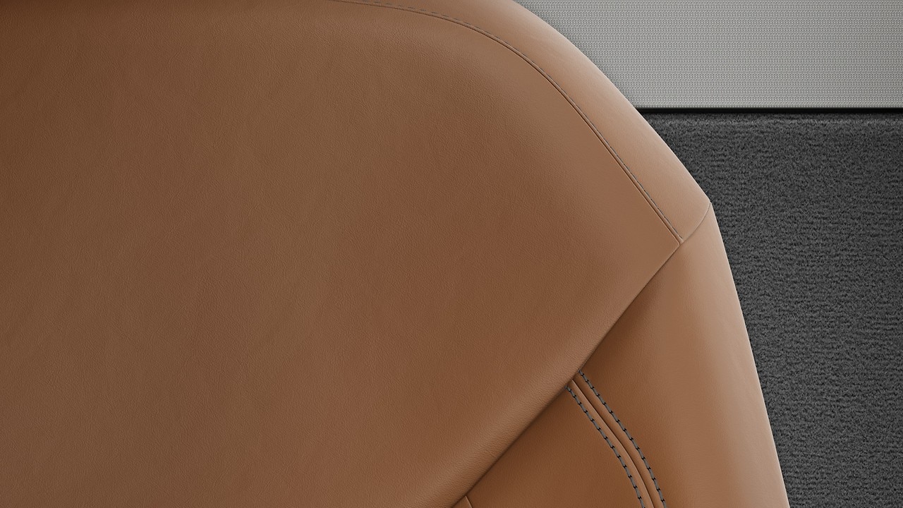 Vehicle interior color