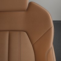 Vehicle interior color