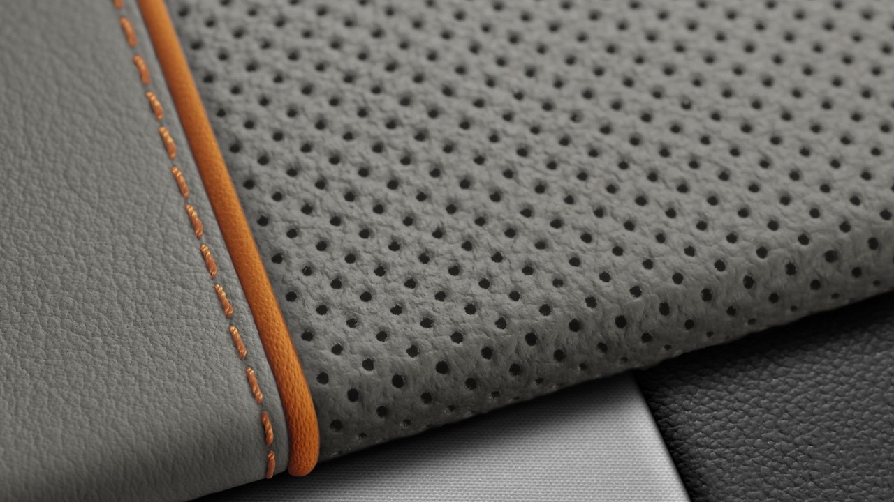 Vehicle interior color