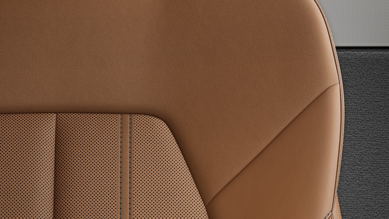 Vehicle interior color