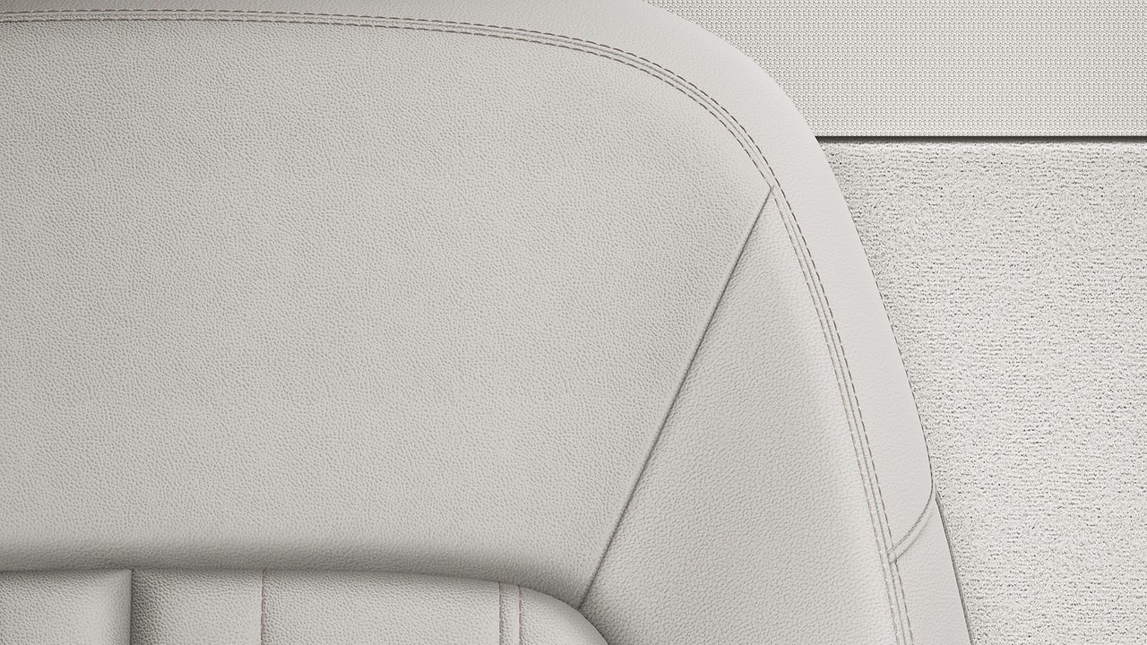 Vehicle interior color
