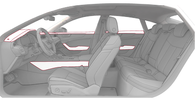 Interieurelemente oben und unten in Leder Audi exclusive