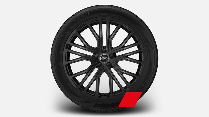 22'' 10-Y-spoke design wheels