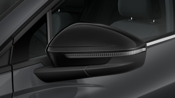 Black exterior mirror housings