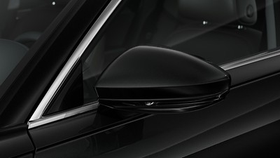 Body-coloured exterior wing mirrors