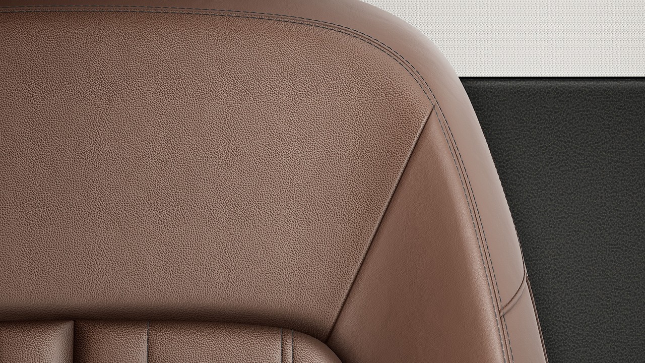 Vehicle interior color