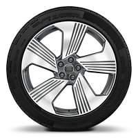 Jantes en aluminium forg&eacute; style 5 branches enturbines, gris contrast&eacute;, partiellement polies 9,5 J &times; 21 avec pneus 285/40 R 21