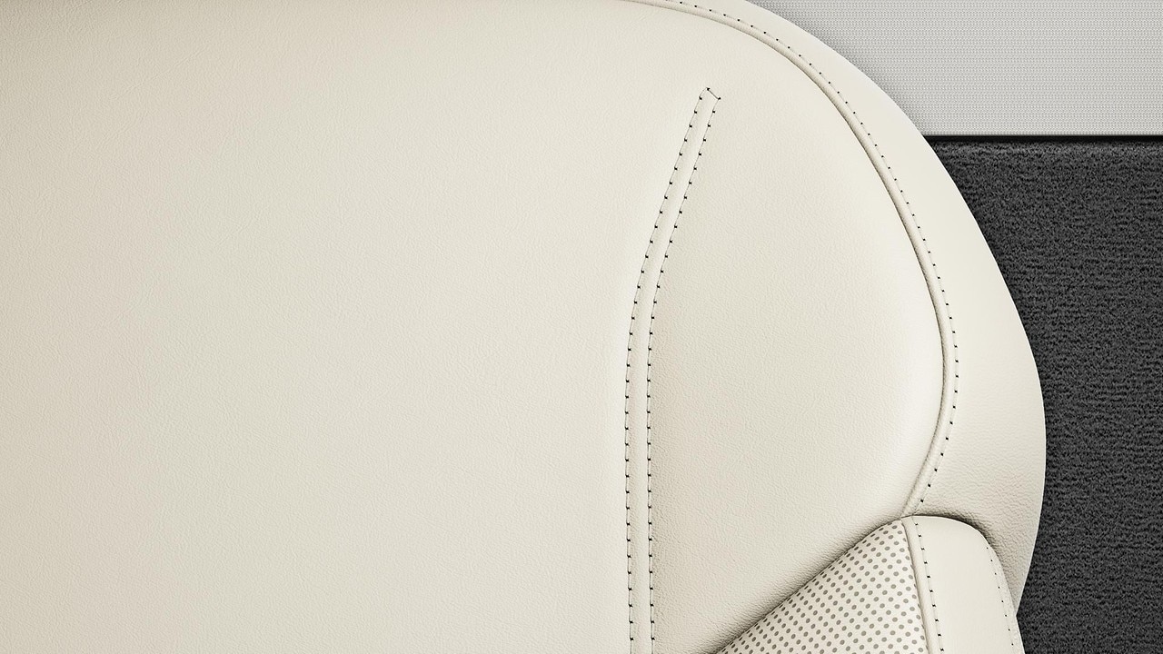 Vehicle interior color