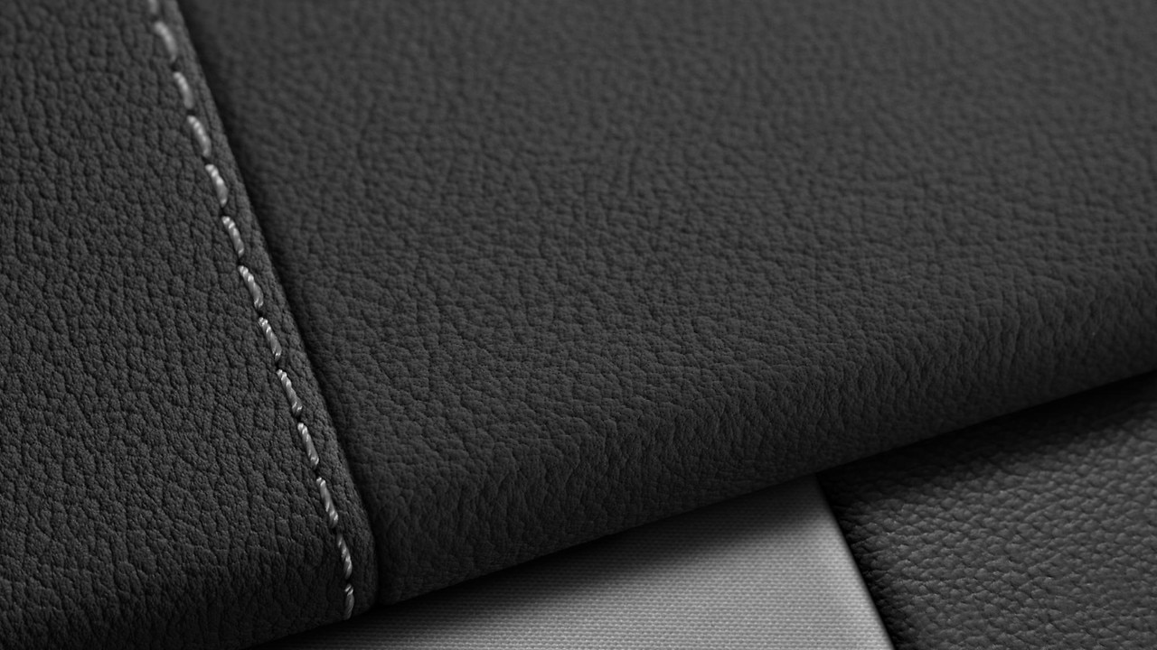 Vehicle interior color