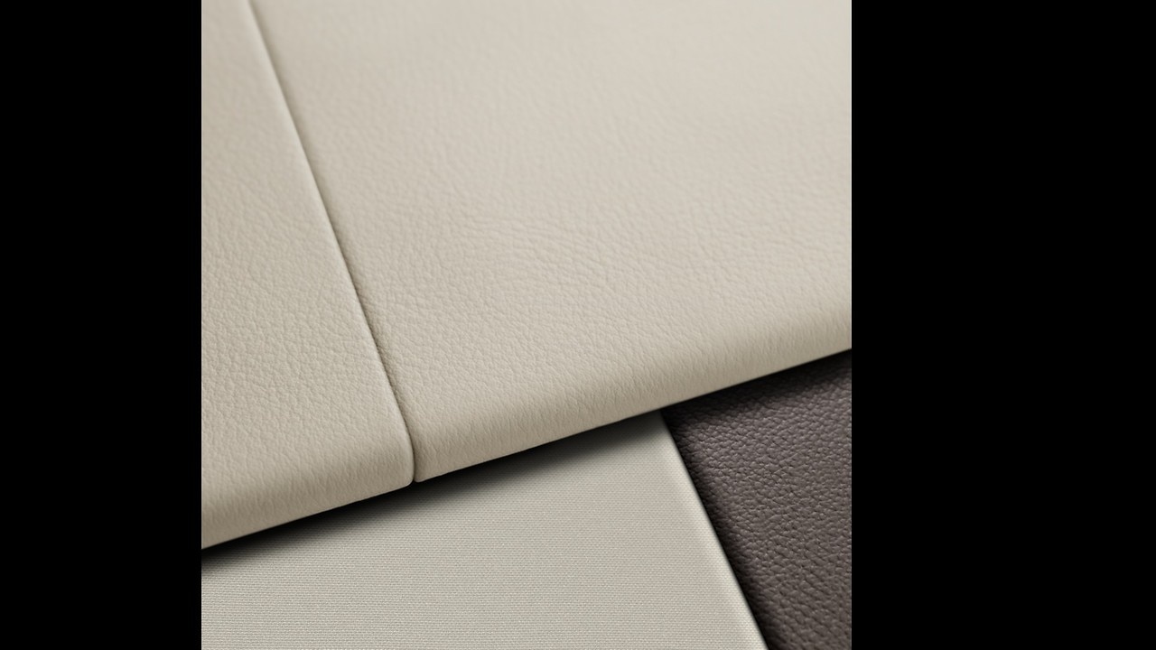 Vehicle interior color